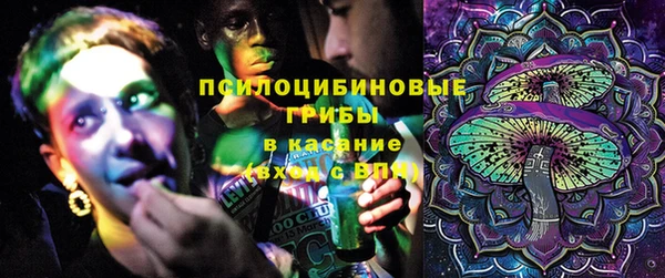 ПСИЛОЦИБИНОВЫЕ ГРИБЫ Алзамай