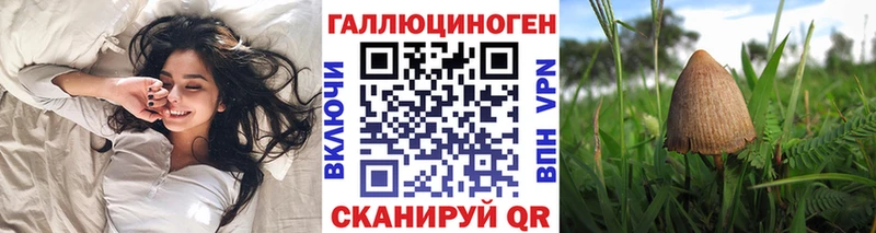 Псилоцибиновые грибы мицелий Фрязино