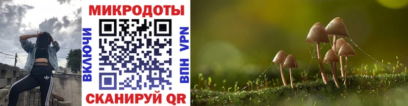 наркотики Фрязино Псилоцибиновые грибы мицелий