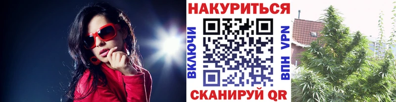 hydra зеркало  Фрязино  Бошки марихуана THC 21% 